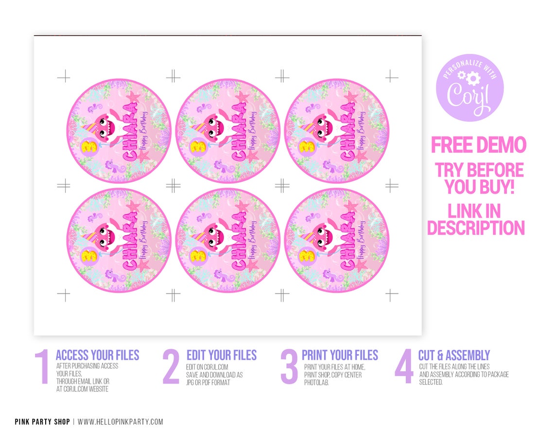 Kids Birthday Lollipop Labels Template Printable Kids - Etsy