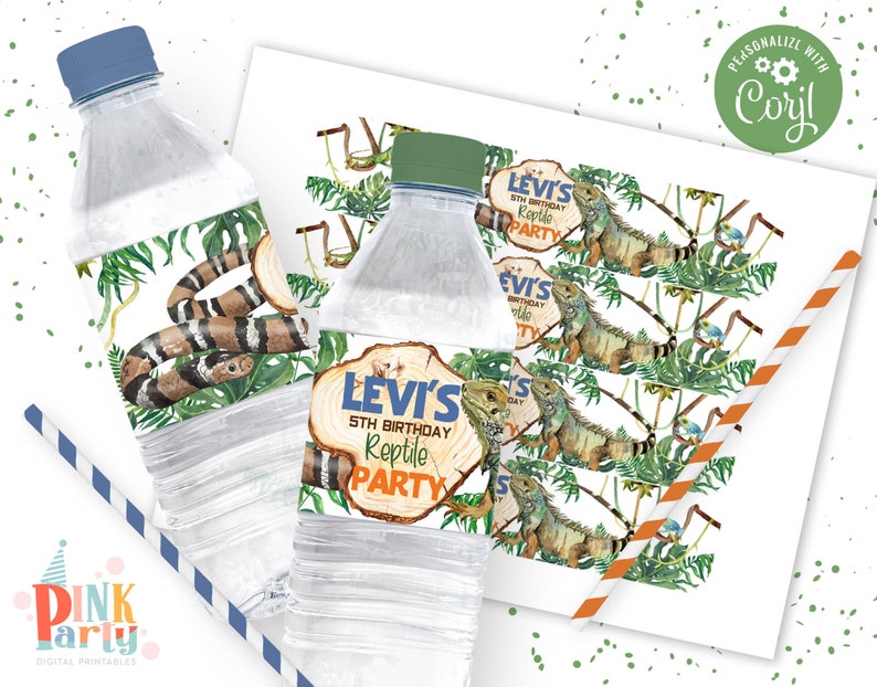 Kids Birthday Party Bundle Kit Template Printable Kids - Etsy