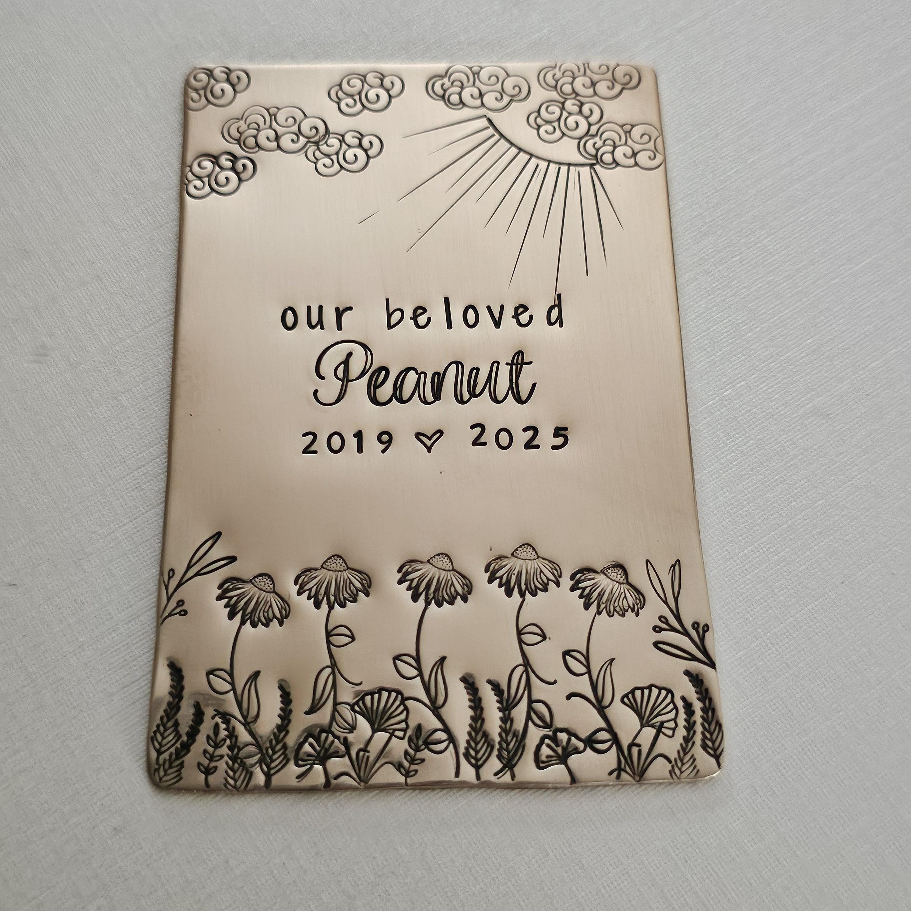 Targa Personalizzata Per Urna Per Cani - Ricorda Il Tuo Prezioso - Foto 13