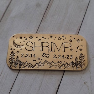 URN PLAQUE, 1x2&quot;, Urn Dedication, Pet Urn, Pet Cremation, Dedication, Memorial Plaque, Engraved Urn Plaques, Dog House, Dog Crate, Bag Charm