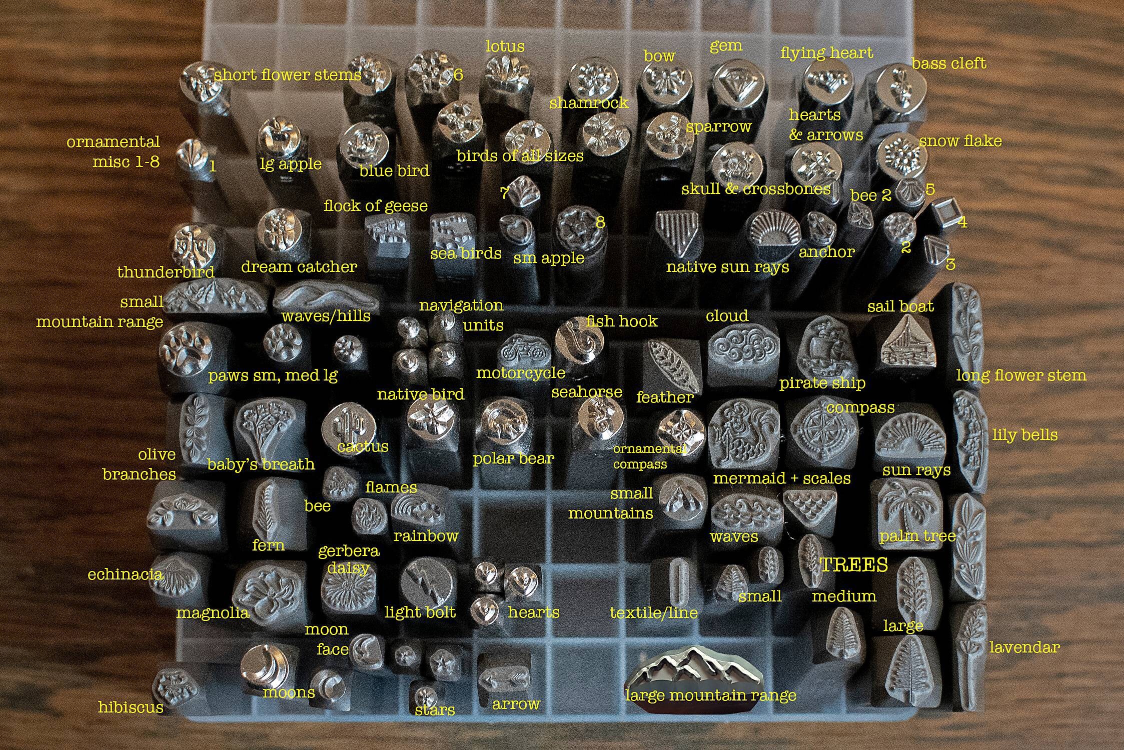 A Sarzana Una Targa In Ricordo Di Federico Severino E Gli Altri Morti Sul Lavoro 494308 - Foto 10