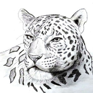 Animal Spirit Guide Drawing and Free Reading, 12 Hours Delivery, Messages And Guidance From Your Animal Spirit image 4