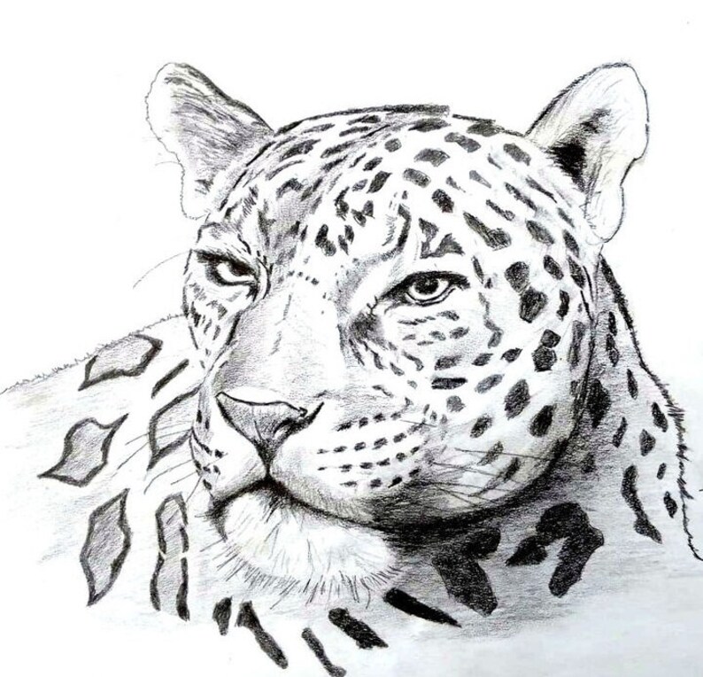 Animal Spirit Guide Drawing and Free Reading, 12 Hours Delivery, Messages And Guidance From Your Animal Spirit image 4