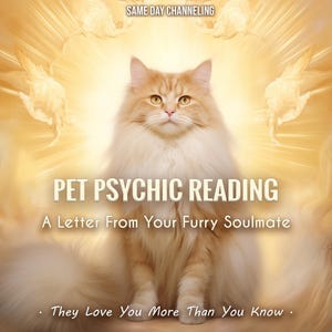 Puede incluir: Un gato esponjoso, de color naranja claro con pelaje blanco, se sienta centrado frente a un fondo dorado y angelical. El texto dice "PET PSYCHIC READING" y "A Letter From Your Furry Soulmate". También está presente la frase "They Love You More Than You Know".