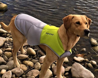 extra large dog vest