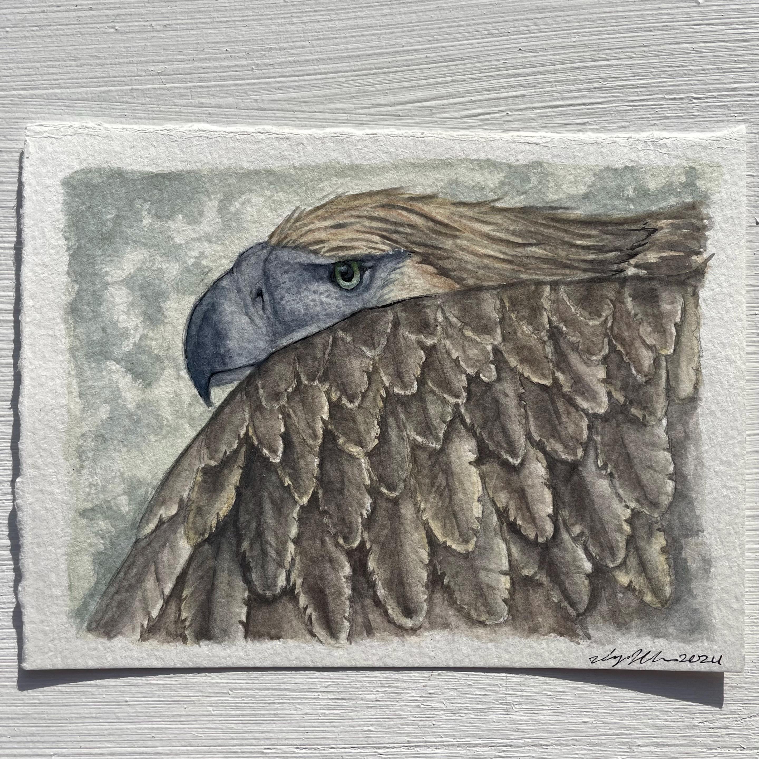Philippine eagle - Etsy 日本