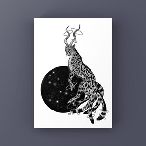 Felis Rex - PRINT oder POSTER