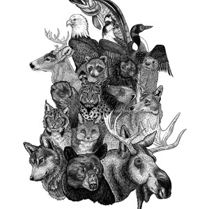North Woods Wildlife - POSTER PRINT