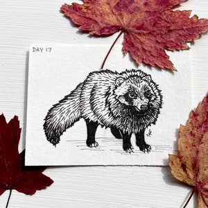 ORIGINAL - Tanuki