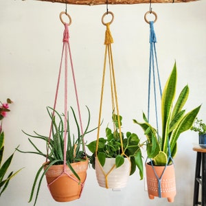 Minimalistische plantenhanger, bohoplanthanger zonder kwastjes, milieuvriendelijke plantenhanger