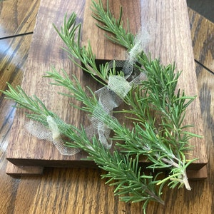 Dried Rosemary Sprigs, Set of 4 Individual Sprigs, each tied with Gold Color Tulle, Wedding Rosemary, Placesettings, Gift & Table Decor