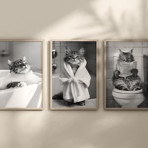 Láminas de gatos en el baño, Pósters divertidos para el baño, Fotografías de animales en blanco y negro, Láminas de gatos en la bañera, Decoración del hogar, Arte mural, Arte neutro