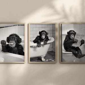 May include: Set of three framed black and white prints featuring chimpanzees in humorous bathroom scenes. One brushes its teeth, another relaxes in a bathtub, and the third reads a newspaper while seated on a toilet.