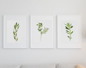 May include: Three framed botanical prints featuring watercolor illustrations of green and yellow leafy branches on a white background.