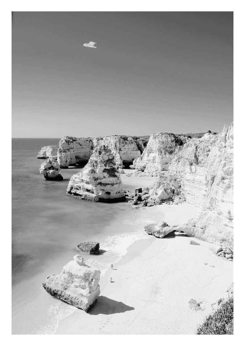 Pode incluir: Uma fotografia a preto e branco de uma praia rochosa com penhascos brancos e um pequeno p&aacute;ssaro a voar por cima.