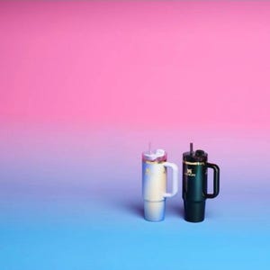 Stanley 30 oz Stainless Steel H2.0 Flowstate Quencher Tumbler Wicked Collection