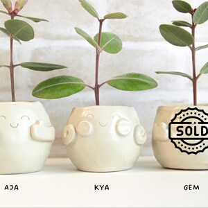 Cute Hand Built Ceramic Planters | Floral white mat glaze | Hand built Pots for Small Plants and Succulents | Happy and Hopeful