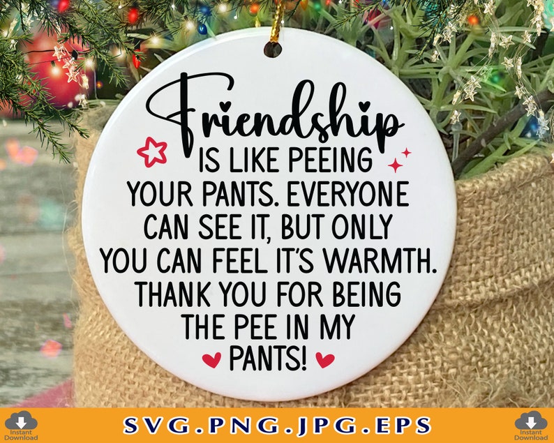 Funny Friendship Christmas Ornament SVG Friendship is Like Etsy