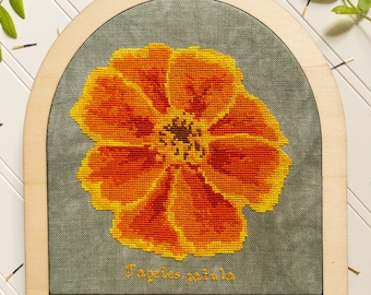 Schema punto croce fiore di calendula, download PDF digitale punto croce contato fiore da giardino