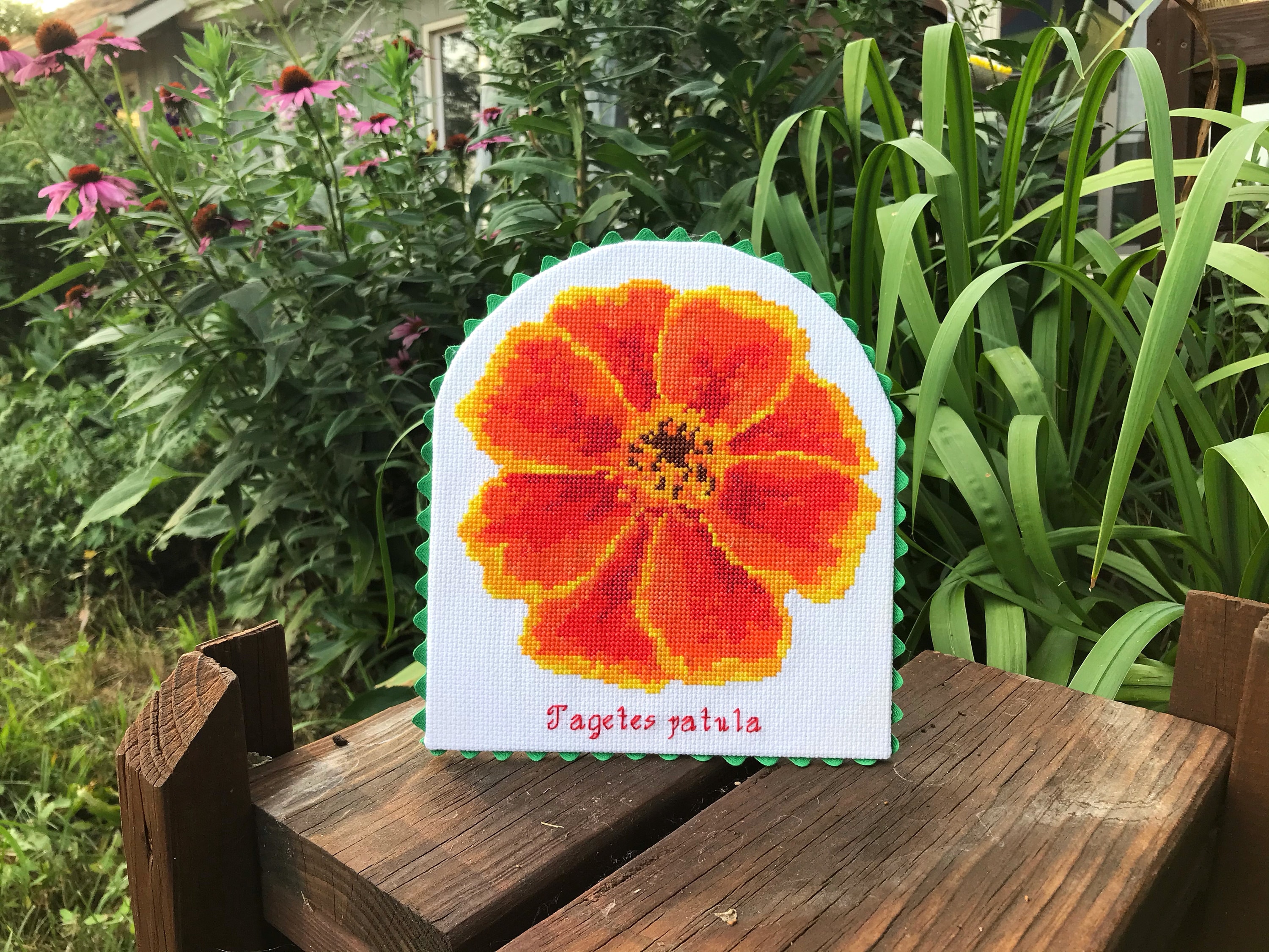 Marigold Flower Cross Stitch Pattern Garden Flower Counted - Etsy UK