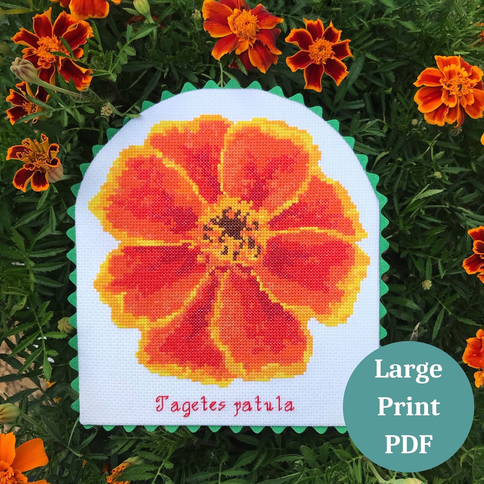 Marigold Flower Cross Stitch Pattern LARGE PRINT Botanical - Etsy