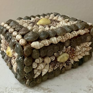 Vintage Seashell Jewelry Box / Shell Jewelry Box / Organization / Trinket Keepsake Storage / Treasure Box Souvenir