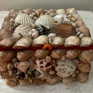 Vintage Seashell Jewelry Box / Shell Jewelry Box / Organization / Trinket Keepsake Storage / Treasure Box Souvenir