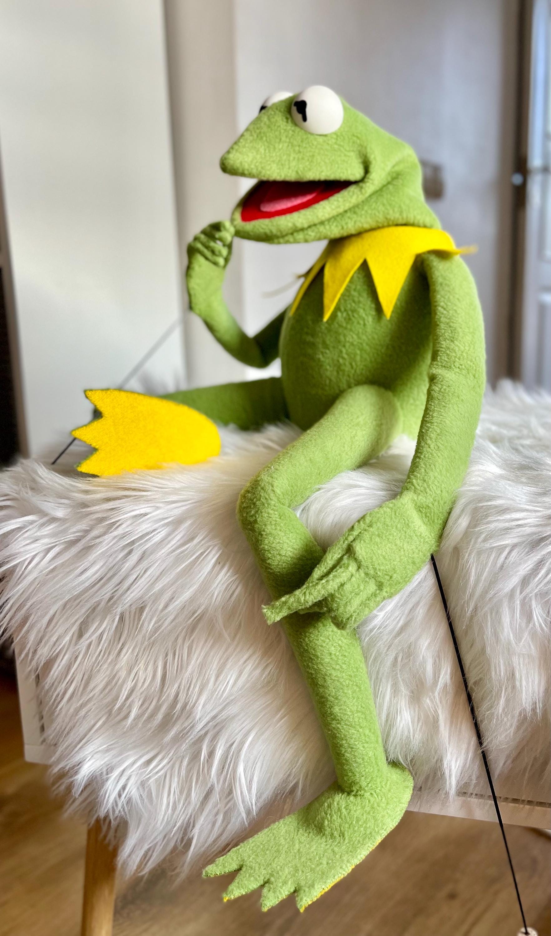 Kermit la rana è pronto a gareggiare in Disney Speedstorm - PlayStationBit  5.0, image size:1765x3000