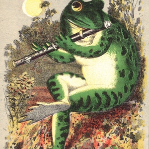 K&ouml;nnte beinhalten: Ein gr&uuml;ner Frosch mit schwarzen Flecken sitzt auf einem Stein und spielt Fl&ouml;te. Der Frosch schaut zum Mond, der im Hintergrund zu sehen ist.