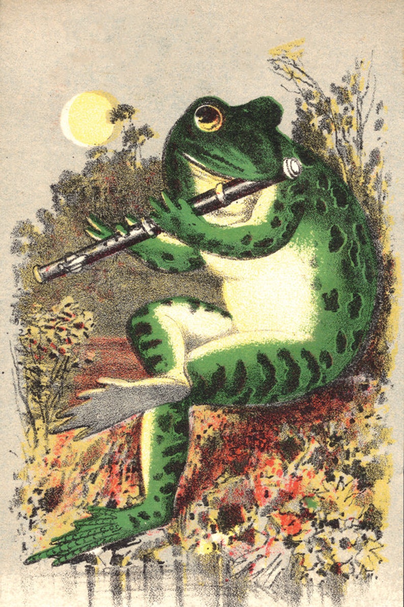 K&ouml;nnte beinhalten: Ein gr&uuml;ner Frosch mit schwarzen Flecken sitzt auf einem Stein und spielt Fl&ouml;te. Der Frosch schaut zum Mond, der im Hintergrund zu sehen ist.