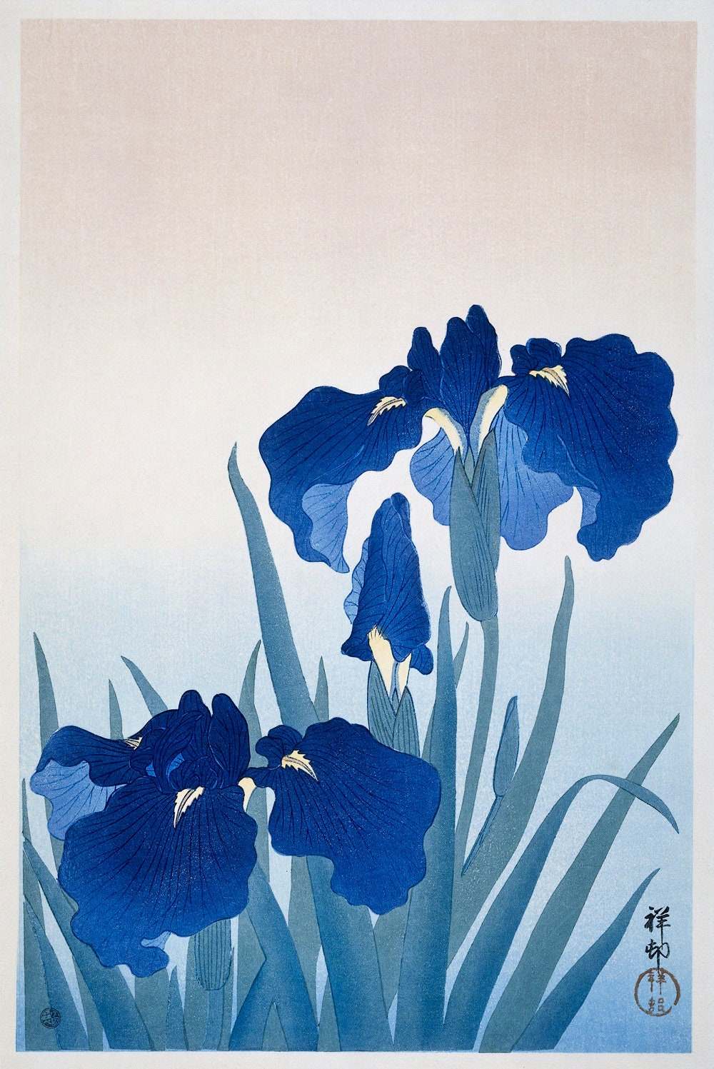 Japanese Woodblock Fine Art Print — Blue Iris Flowers by Ohara