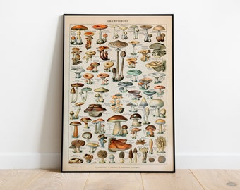 Mushroom Print, Vintage Botanical Poster, Adolphe Millot Vintage Poster, Vegan Print