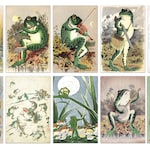 Frog Art Prints