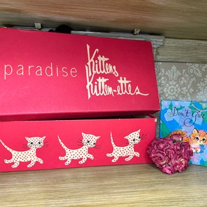 Vintage Paradise Kittens Kitten-ettes Shoe Box, 1960’s, Made in USA