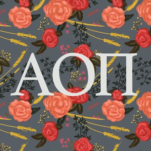 Alpha Omicron Pi Sticker Pack | Vinyl Sorority Stickers | AOPi stickers