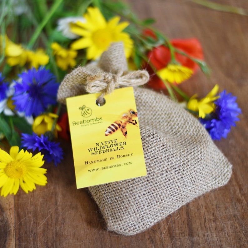 Bee Bombs Original Wild Flower Seed Bombs native Europe for Etsy