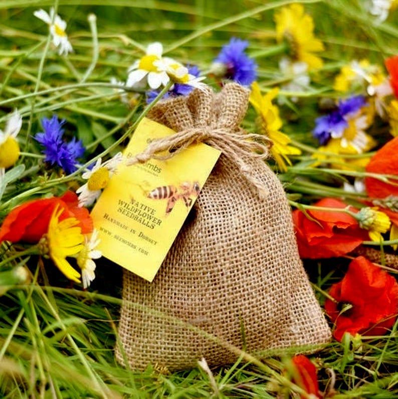 Beebombs Wildflower Seed Bombs Bee bombs Native to Europe Etsy
