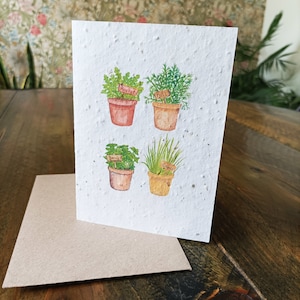 Kräutertöpfe Mehrzweck Pflanzkarte Wildblumen Samen Grußkarte, Geschenk für Gärtner, A6, Recycled, Kompostierbar, Zero Waste. Vida Natur