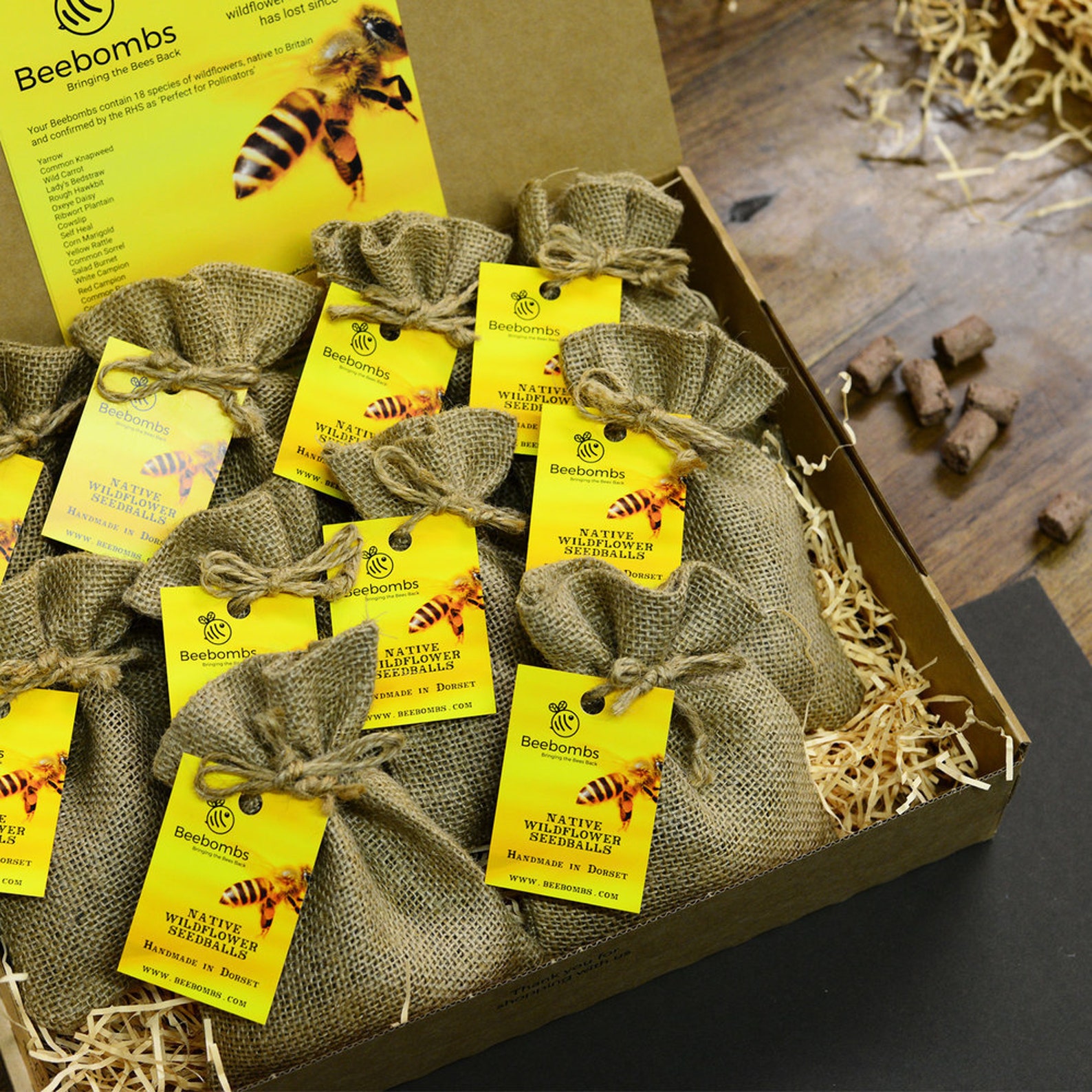 Beebombs Wildflower Seed Bombs Bee bombs Native to Europe Etsy