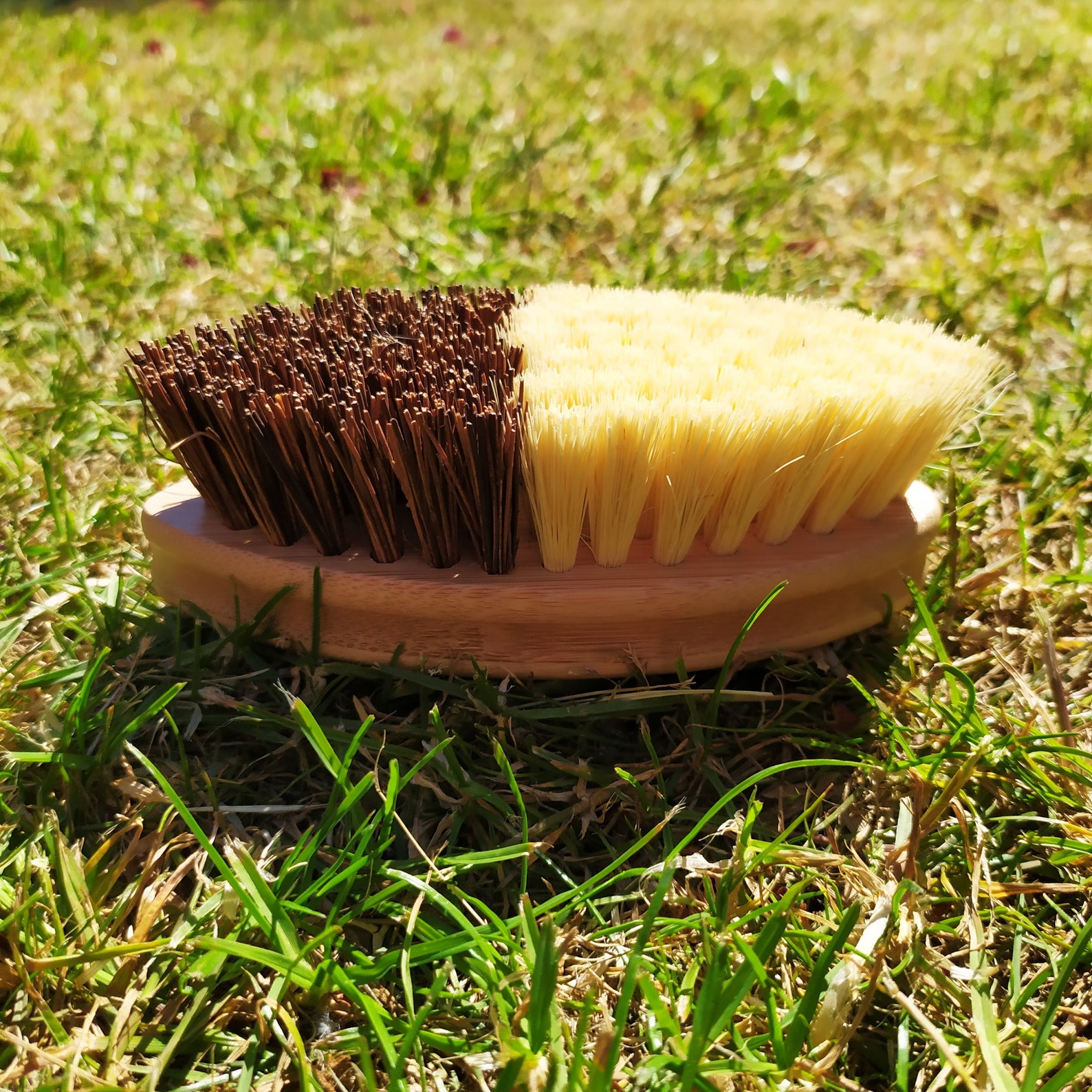 Vegetable Scrubbing Brush Beechwood All Purpose Scrub Natural Etsy UK