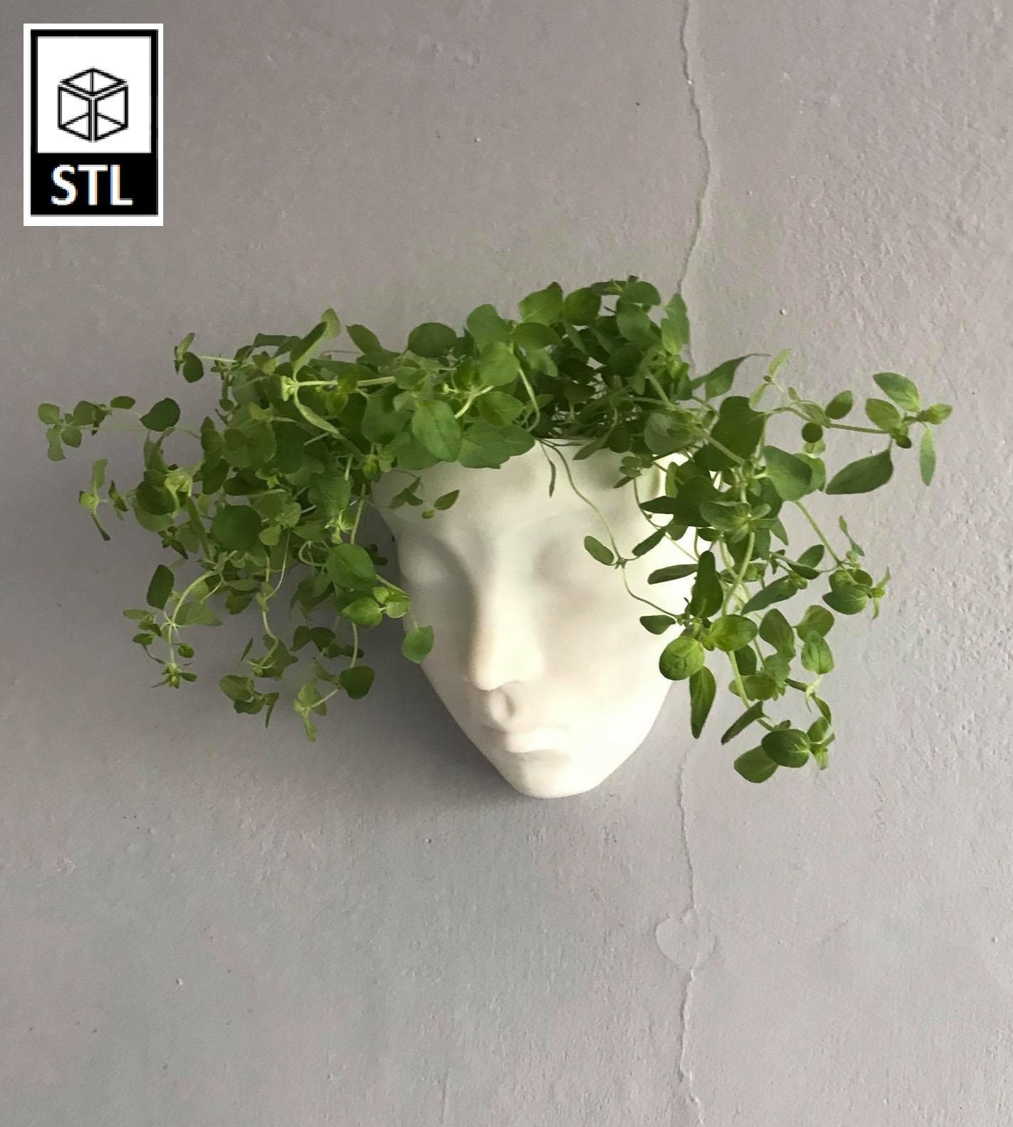 Kmart Pot Plants Nz Deals Cheap Www flavors qa Kmart Pot Plants Nz Deals Cheap Www flavors qa