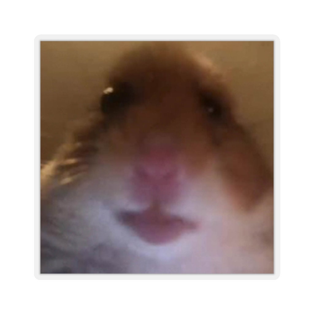 Can You Kiss Your Hamster