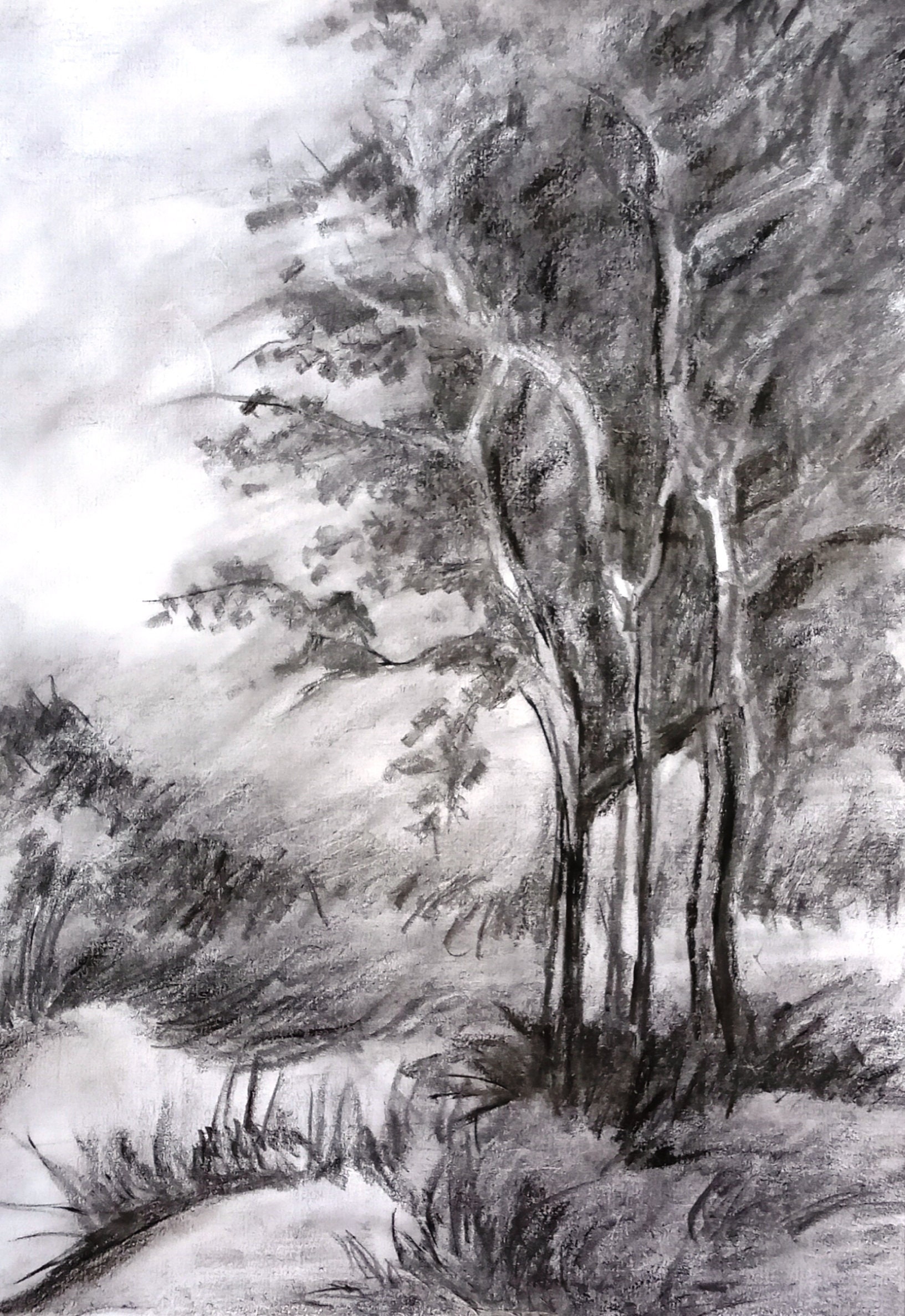 8.512 inch pencil landscape Paintings on paper Original Art | Etsy