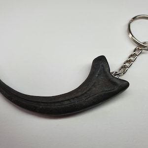 Raptor Claw. Velociraptor Claw Keyring/Keychain from the Jurassic period. Bag charm