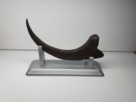 Jurassic Park Velociraptor Claw Movie Prop Replica With Display