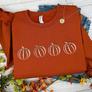 May include: A rust-colored crewneck sweatshirt featuring an embroidered line art design of four pumpkins arranged horizontally across the center. The garment has a ribbed collar and long sleeves, with a gold-toned pendant necklace resting on top.