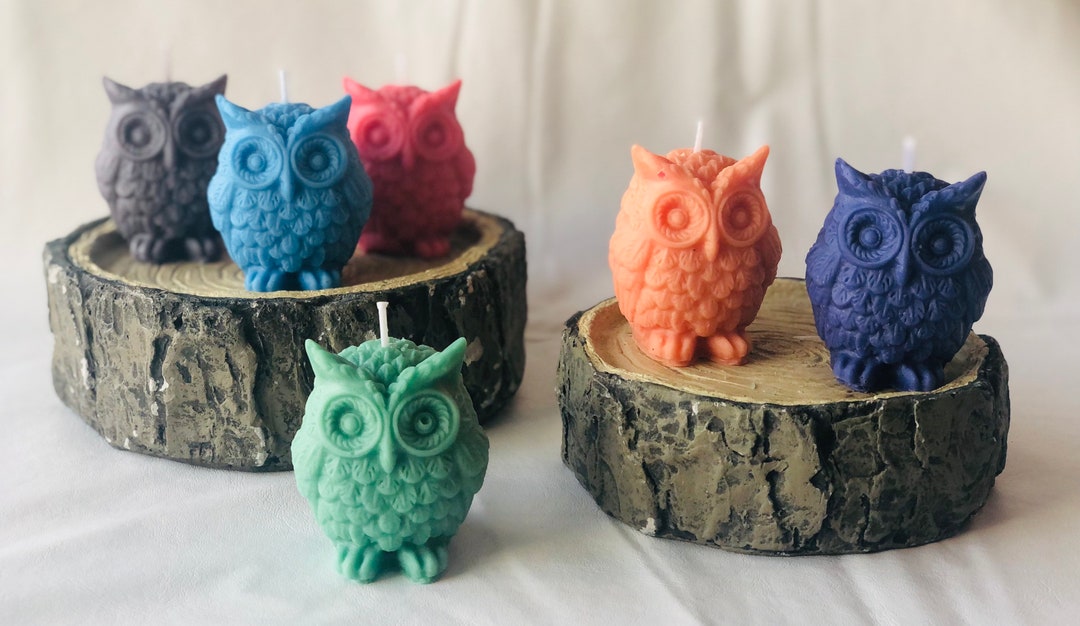 Owl Candles Home Decor Unique Candles Specialty Candles Owl Gifts Etsy