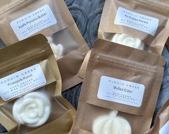 Mystery Sample Melts Set, Mystery Pack, Mystery Box, Suprise Sample Pack