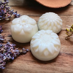 Wild & Rustic Flower Soy Wax Melts: Western Aromatherapy Tarts