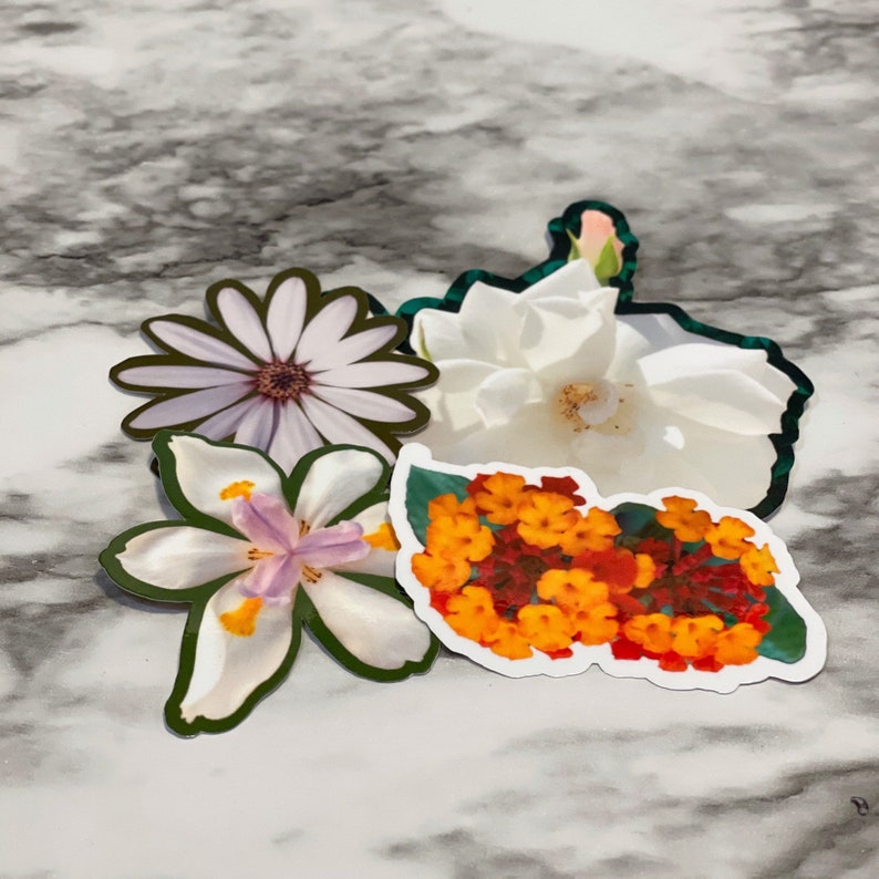 Entrelazados Flower Sticker 4-Pack| Floral Sticker Vinyl Sticker Multicolor Colorful
